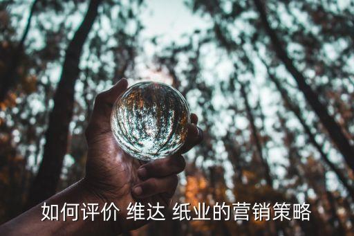 如何评价 维达 纸业的营销策略