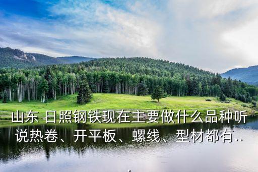 山东 日照钢铁现在主要做什么品种听说热卷、开平板、螺线、型材都有...