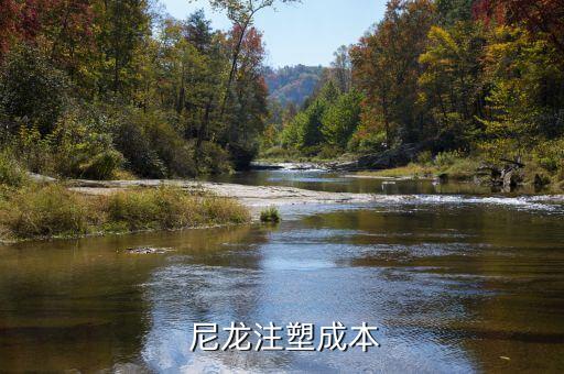  尼龙注塑成本