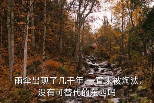  雨伞出现了几千年,一直未被淘汰,没有可替代的东西吗