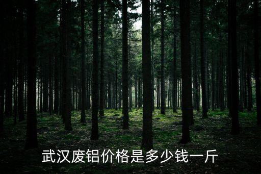 武汉废铝价格是多少钱一斤