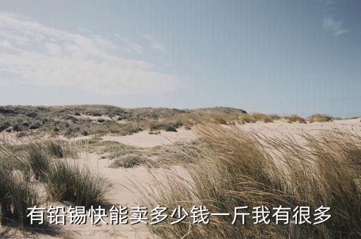 有铅锡快能卖多少钱一斤我有很多