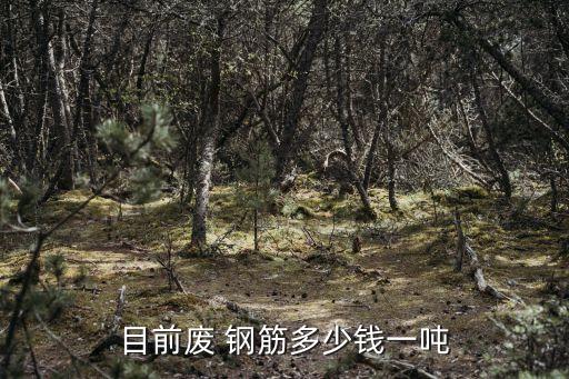 目前废 钢筋多少钱一吨