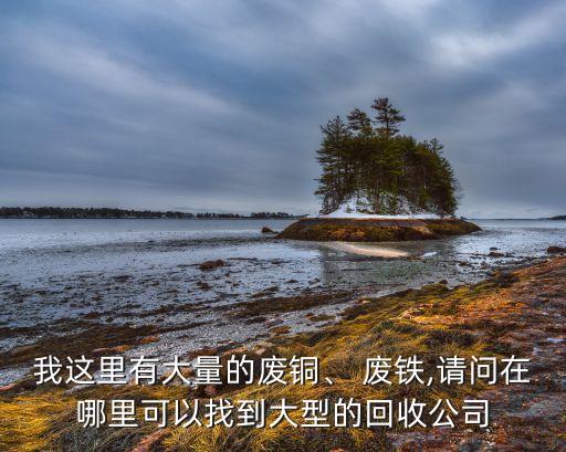 我这里有大量的废铜、 废铁,请问在哪里可以找到大型的回收公司