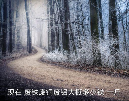 现在 废铁废铜废铝大概多少钱 一斤