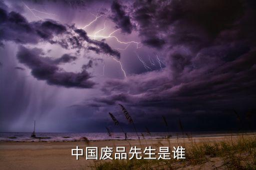 中国废品先生是谁