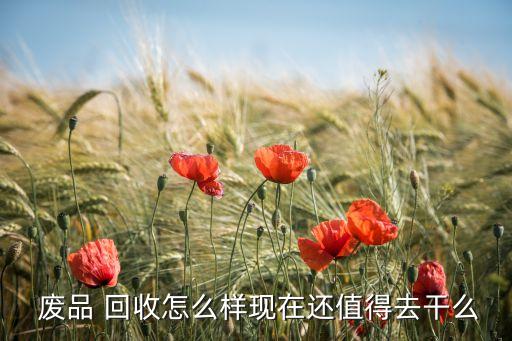  废品 回收怎么样现在还值得去干么