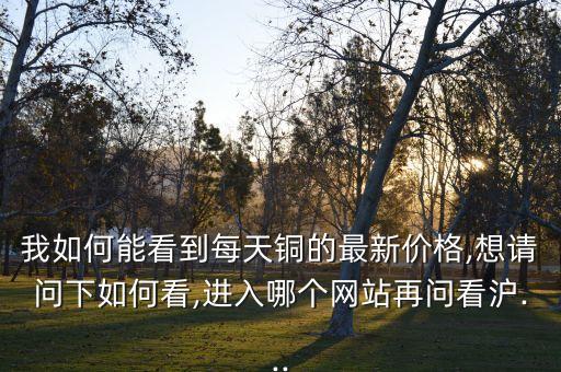 我如何能看到每天铜的最新价格,想请问下如何看,进入哪个网站再问看沪...
