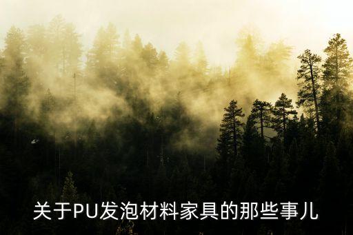 关于PU发泡材料家具的那些事儿