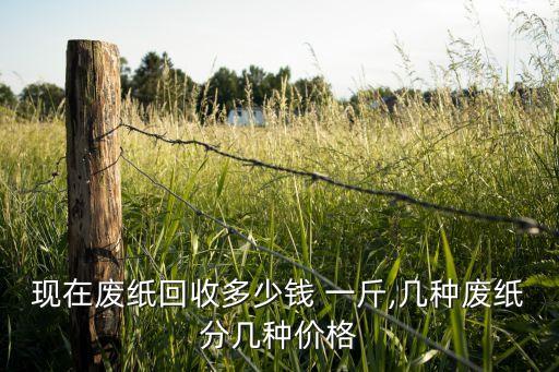现在废纸回收多少钱 一斤,几种废纸分几种价格