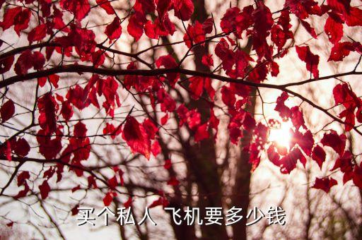买个私人 飞机要多少钱