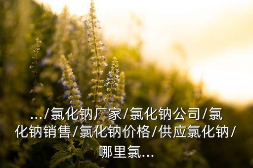 .../氯化钠厂家/氯化钠公司/氯化钠销售/氯化钠价格/供应氯化钠/哪里氯...