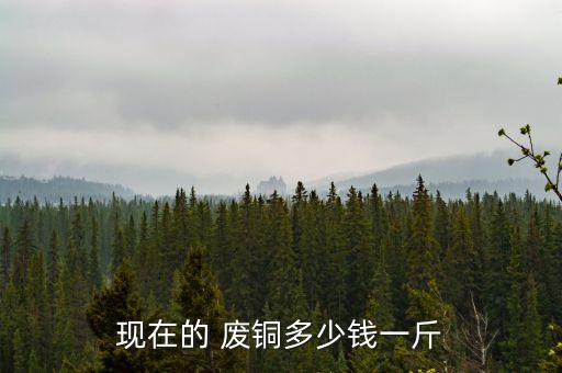 现在的 废铜多少钱一斤