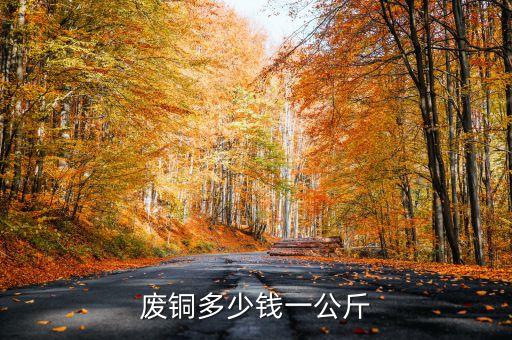 废铜多少钱一公斤