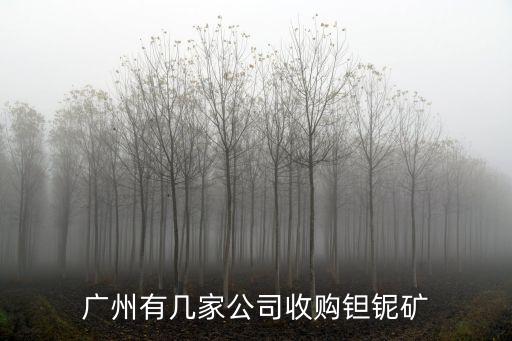广州有几家公司收购钽铌矿