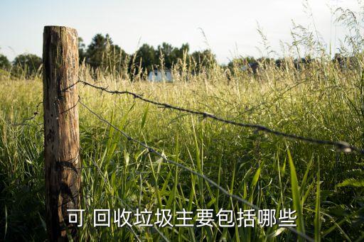 可 回收垃圾主要包括哪些