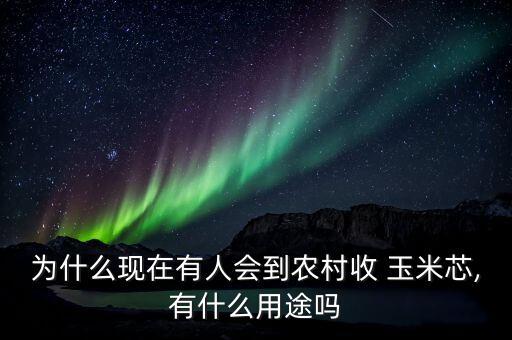 为什么现在有人会到农村收 玉米芯,有什么用途吗