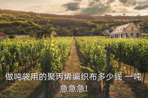 做吨袋用的聚丙烯编织布多少钱 一吨急急急!