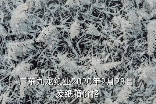 广东九龙纸业2020年2月23日 废纸箱价格