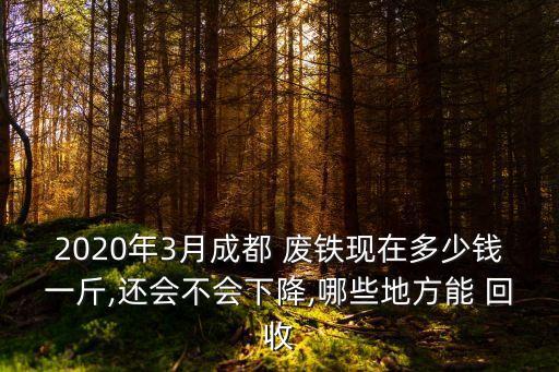 2020年3月成都 废铁现在多少钱一斤,还会不会下降,哪些地方能 回收