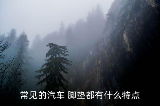 常见的汽车 脚垫都有什么特点