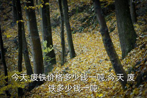 今天 废铁价格多少钱一吨,今天 废铁多少钱一吨