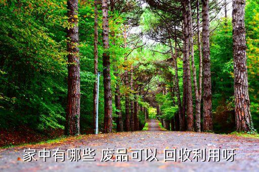 家中有哪些 废品可以 回收利用呀