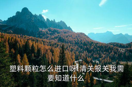  塑料颗粒怎么进口呀!清关报关我需要知道什么