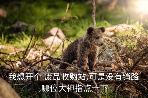 我想开个 废品收购站,可是没有销路,哪位大神指点一下