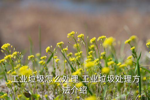  工业垃圾怎么处理 工业垃圾处理方法介绍