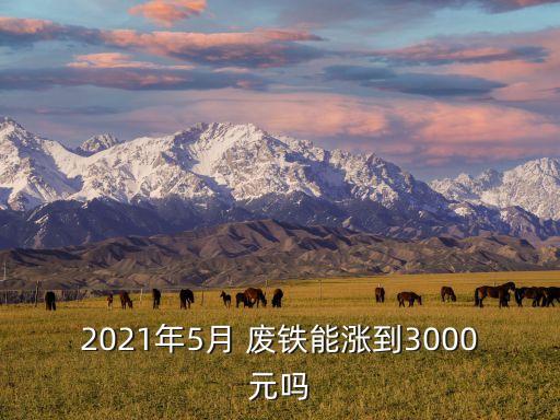 2021年5月 废铁能涨到3000元吗