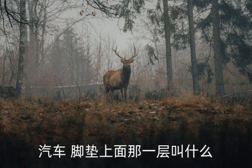 汽车 脚垫上面那一层叫什么