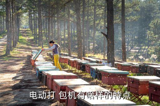 电动打 包机有啥样的特点