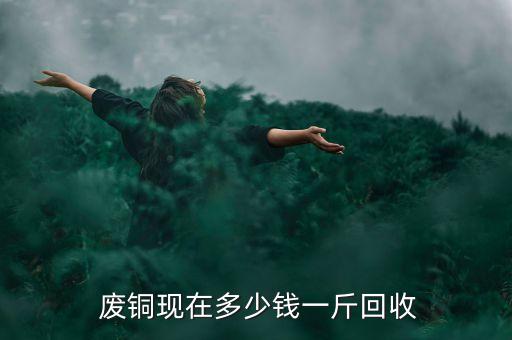  废铜现在多少钱一斤回收