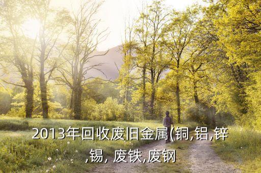 2013年回收废旧金属(铜,铝,锌,锡, 废铁,废钢