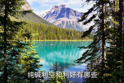  纯碱利空和利好有哪些