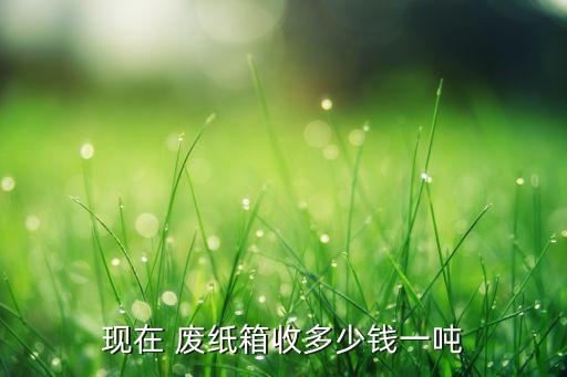 现在 废纸箱收多少钱一吨
