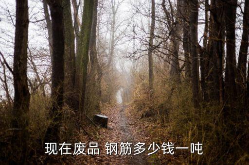 现在废品 钢筋多少钱一吨