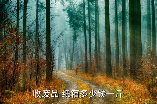 收废品 纸箱多少钱一斤