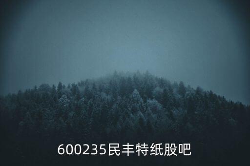 600235民丰特纸股吧