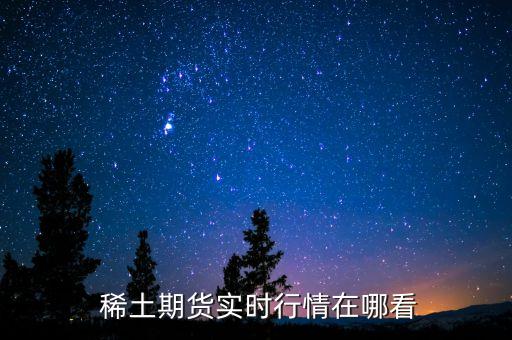  稀土期货实时行情在哪看