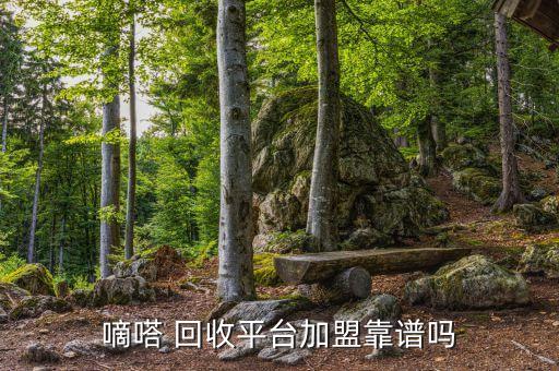 嘀嗒 回收平台加盟靠谱吗