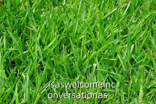 ...isaswelcomeinconversationas
