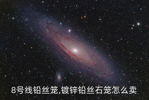 8号线铅丝笼,镀锌铅丝石笼怎么卖