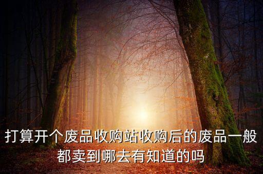 打算开个废品收购站收购后的废品一般都卖到哪去有知道的吗