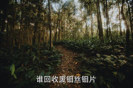 谁回收废钼丝钼片