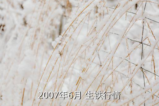 2007年6月 生铁行情