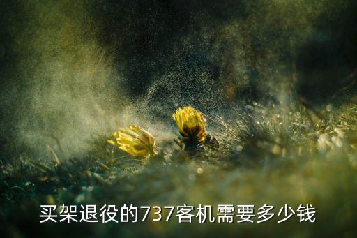 买架退役的737客机需要多少钱