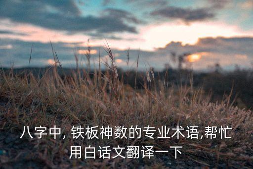 八字中, 铁板神数的专业术语,帮忙用白话文翻译一下