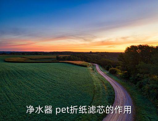 净水器 pet折纸滤芯的作用